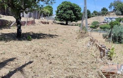 Leiria, Leiria District