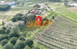 Alcobaça, Leiria 2460