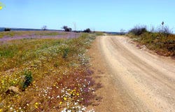 Castro Marim, Algarve 8950-021