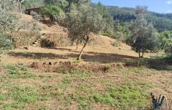 Sertã, Castelo Branco 6100-514