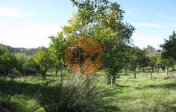Junqueira, Castro Marim, Faro 8950-189