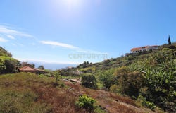 Ilha da Madeira, Madeira