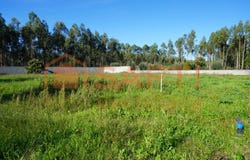Maceira, Leiria District