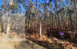 Friastelas, Viana do Castelo District