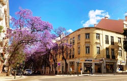 Santo António, Lisbon