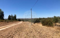 Portalegre, Portalegre District 7350