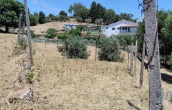 Leiria, Leiria District