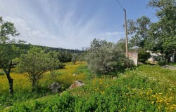 São Clemente, Algarve