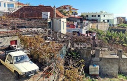 Canhas, Madeira 9360