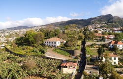 Ilha da Madeira, Madeira