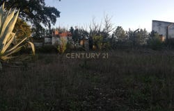 Quinta do Anjo, Setubal