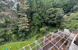 Ilha da Madeira, Madeira