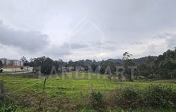 Benedita, Leiria 2475
