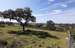Alcácer do Sal (santa Maria do Castelo e Santiago), Setubal
