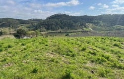 Salir de Matos, Leiria District