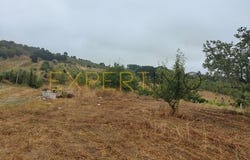Delgada, Bombarral, Leiria