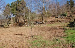 Gouveia, Guarda District