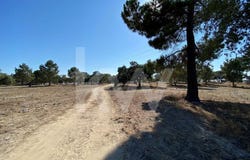 Moita, Setubal