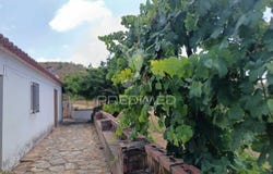 São Barnabé, Almodôvar, Beja District 7700