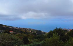Ilha da Madeira, Madeira
