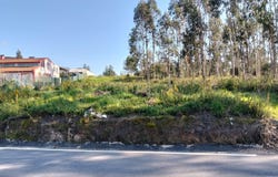 Requeixo, Aveiro District