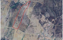 Selmes, Beja 7960