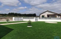 Oliveira do Bairro, Aveiro 3770-017