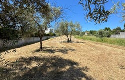 Condeixa-a-Nova, Coimbra District