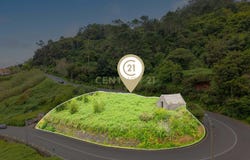 Ilha da Madeira, Madeira