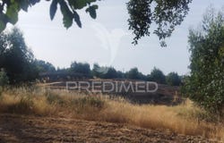 N. Sra da Graça de Póvoa e Meadas, Castelo de Vide, Portalegre District 7320-011