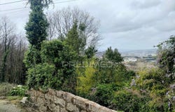 Polvoreira, Guimarães, Braga