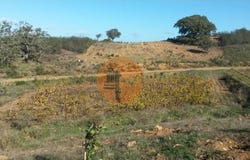 Azinhal, Algarve