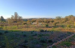 Silves, Faro