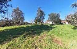 Castelo, Castelo Branco 6100