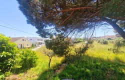 Pombal, Leiria District