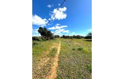 Moncarapacho, Algarve