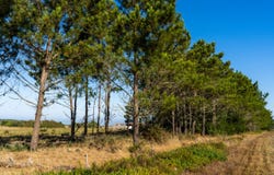 Faro, Algarve 8670-411