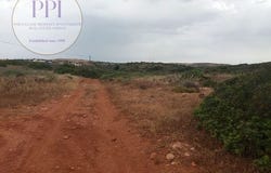Vila do Bispo, Faro 8650-000