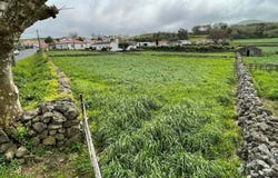 Ilha Terceira, Azores