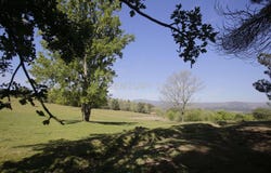 Vilela do Tâmega, Vila Real District