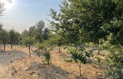 Seia, Guarda District 6270-588