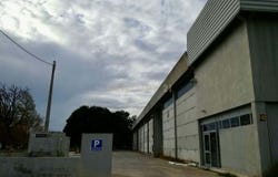 Quinta do Anjo, Setubal