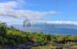 Ilha do Pico, Azores