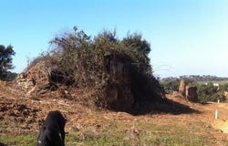 Colos, Beja 7630