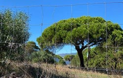 Estoril, Lisboa 2765