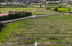 Briteiros São Salvador e Briteiros Santa Leocádia, Braga