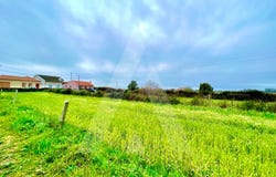 Cacia, Aveiro District