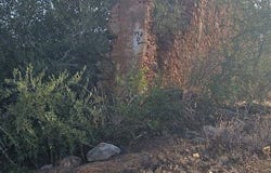 Loulé, Faro 8125-590