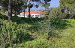 Sesimbra (Castelo), Setúbal 2970