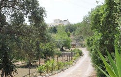 Loulé, Faro